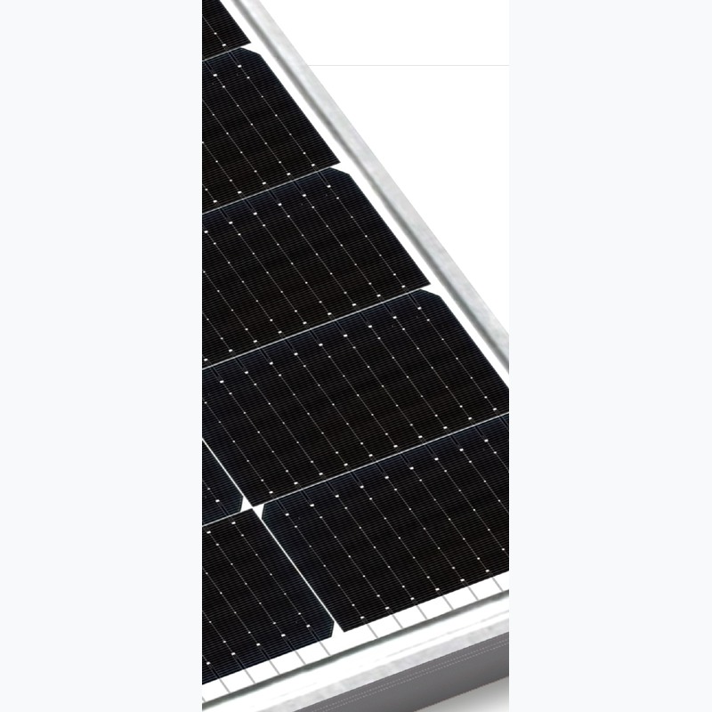 Rayzon L'LIOS RSB540WC 540Wp Bifacial Mono PERC Solar Panel
